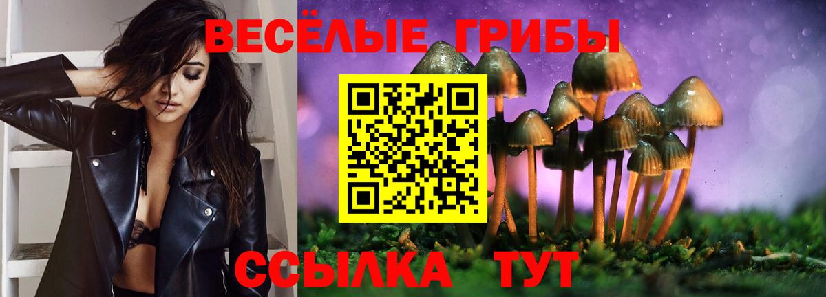 Псилоцибиновые грибы прущие грибы Саранск